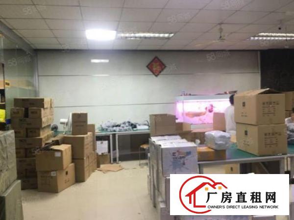  出租|清溪原房东带红本2200平带精装修办公室厂房出租可分租