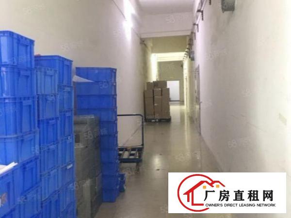  出租|清溪原房东带红本2200平带精装修办公室厂房出租可分租