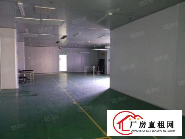  南城新出带装修无尘车间，水电齐全可办环评精装修厂房