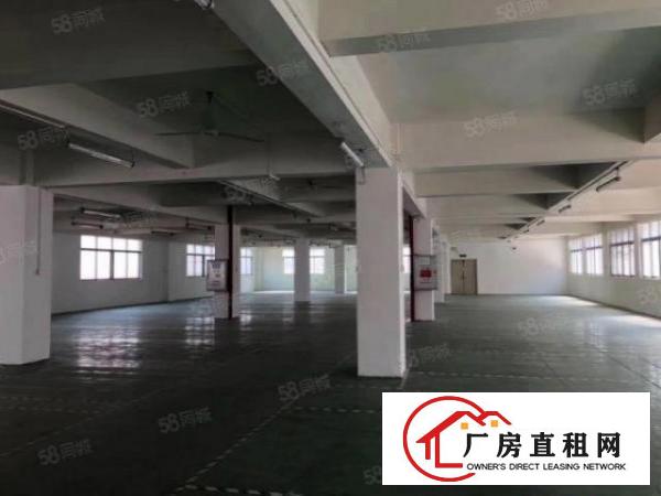  南城原房东独栋厂房1至3层960平方米楼下做仓库楼上办公