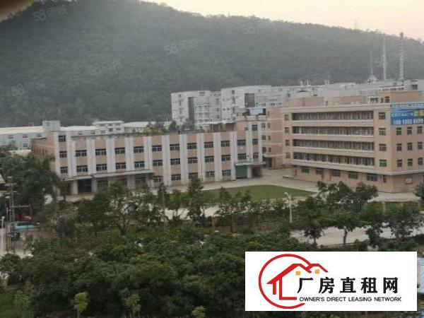  凤岗宏盈工业园区3万平方仓库厂房出租现成装修一楼仓库出租可分