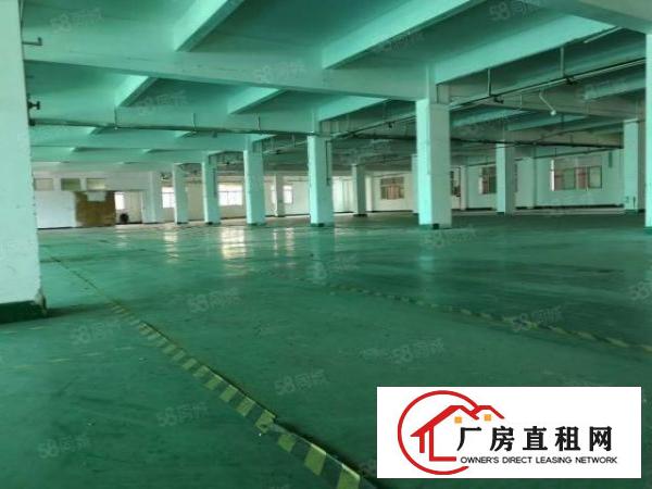  凤岗宏盈工业园区3万平方仓库厂房出租现成装修一楼仓库出租可分
