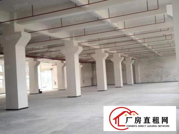  南城新空出单一层厂房仓库600方形象好交通方便