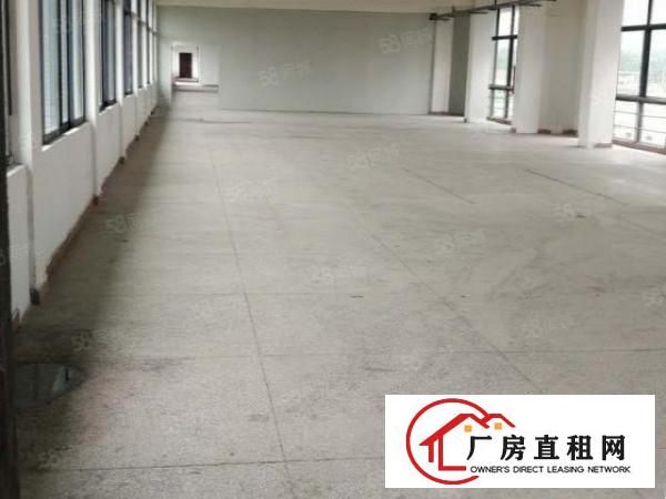  南城新空出单一层厂房仓库600方形象好交通方便