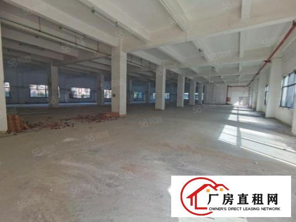  凤岗五联新出原房东带红本6400平厂房出租有地坪漆大小可分租