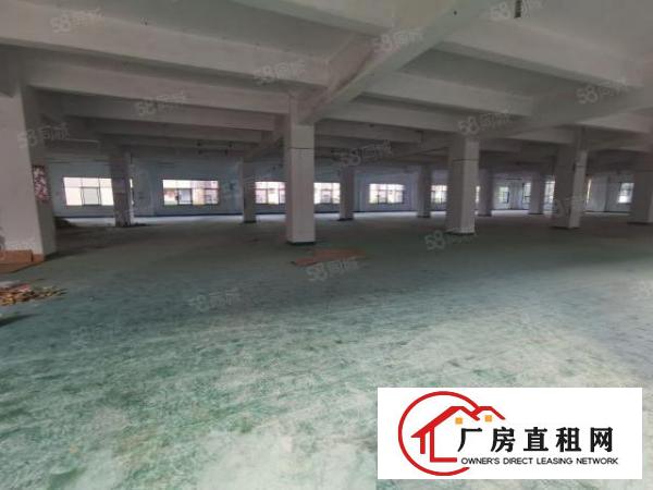  凤岗五联新出原房东带红本6400平厂房出租有地坪漆大小可分租
