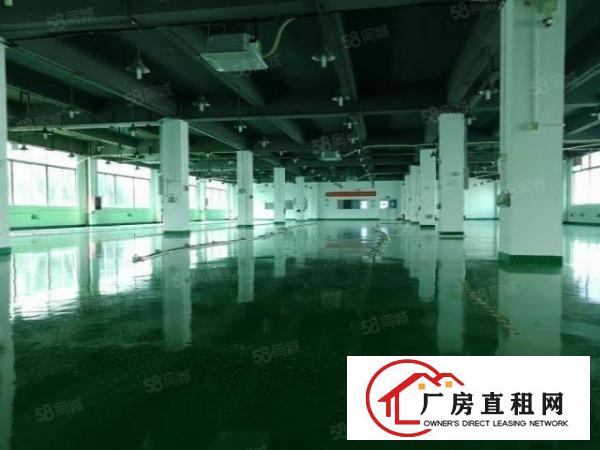 凤岗新出原房东2600平厂房出租全新地坪漆带精装办公室可分租