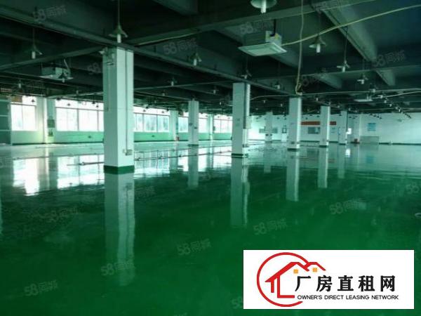 凤岗新出原房东2600平厂房出租全新地坪漆带精装办公室可分租