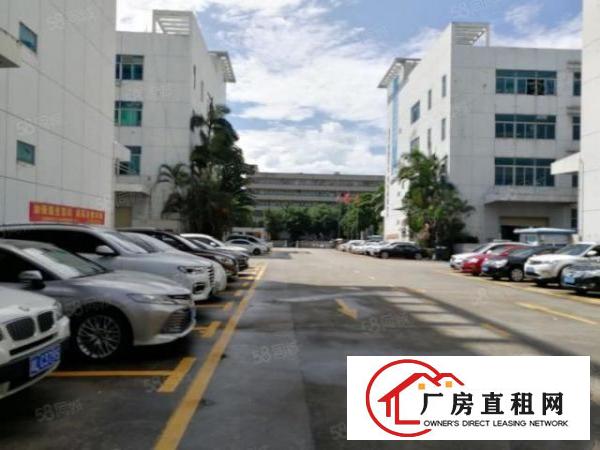  凤岗新出原房东2600平厂房出租全新地坪漆带精装办公室可分租