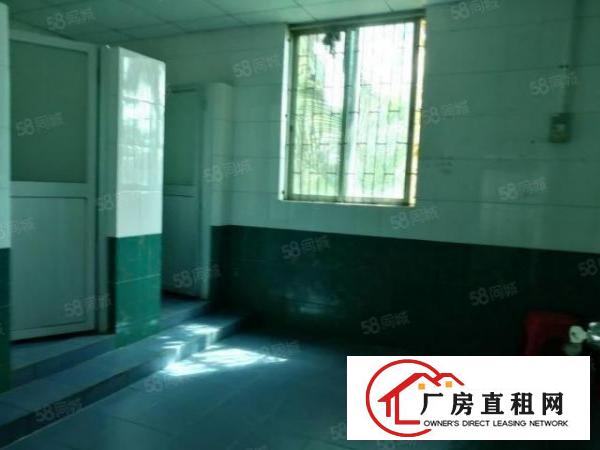  凤岗新出原房东2600平厂房出租全新地坪漆带精装办公室可分租
