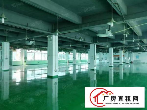  凤岗新出原房东2600平厂房出租全新地坪漆带精装办公室可分租