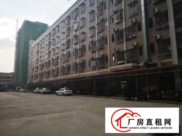  凤岗五联新出原房东一楼1800平带红本有牛角厂房出租可分租