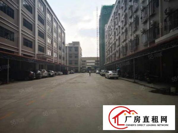  凤岗五联新出原房东一楼1800平带红本有牛角厂房出租可分租