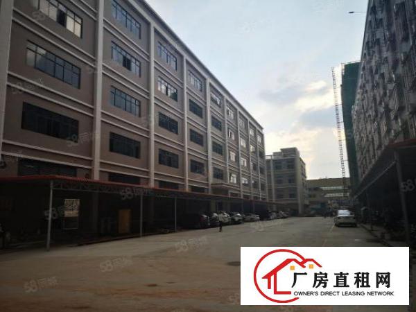  凤岗五联新出原房东一楼1800平带红本有牛角厂房出租可分租