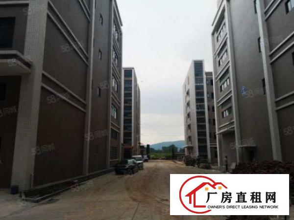  凤岗五联新出原房东一楼1800平带红本有牛角厂房出租可分租