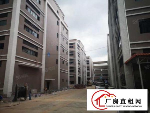 凤岗五联新出原房东一楼1800平带红本有牛角厂房出租可分租