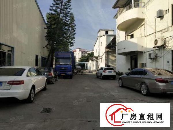  南城蛤地园区一楼1300平厂房出租工业用地可办环评水电齐全