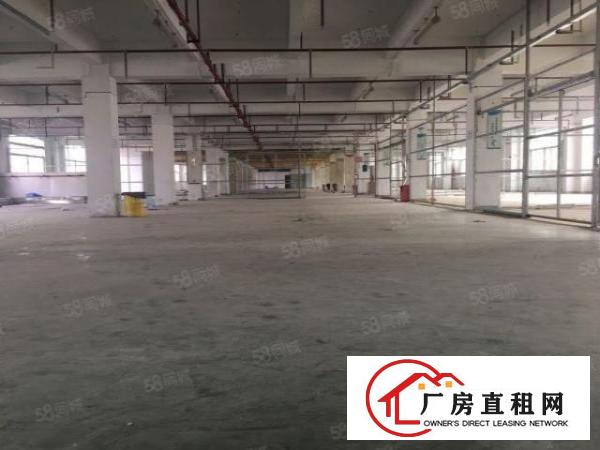  出租|凤岗五联工业园区原房东1万平厂房出租空地3千平可以分租