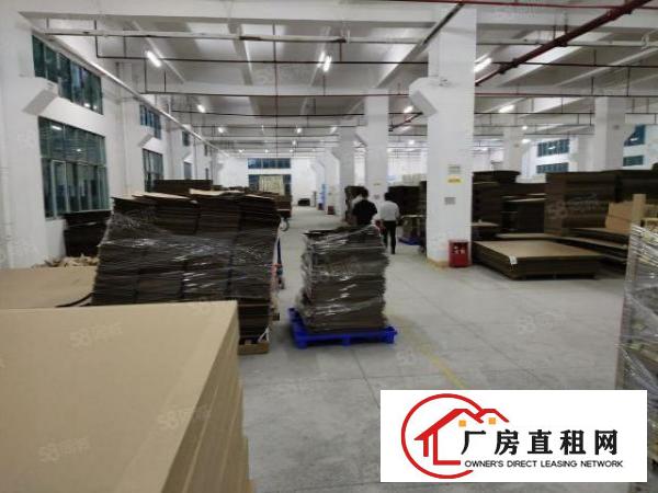  出租|雁田布心工业园区原房东4527平标准厂房出租实际面积出