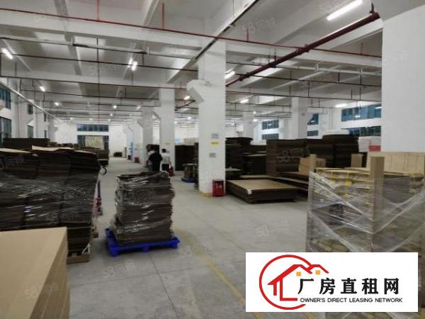  出租|雁田布心工业园区原房东4527平标准厂房出租实际面积出