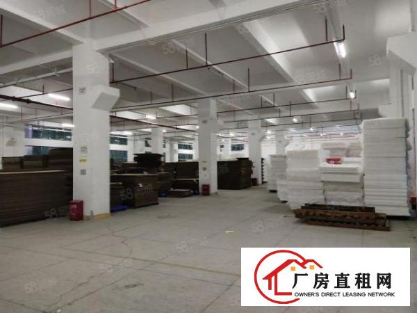  出租|雁田布心工业园区原房东4527平标准厂房出租实际面积出