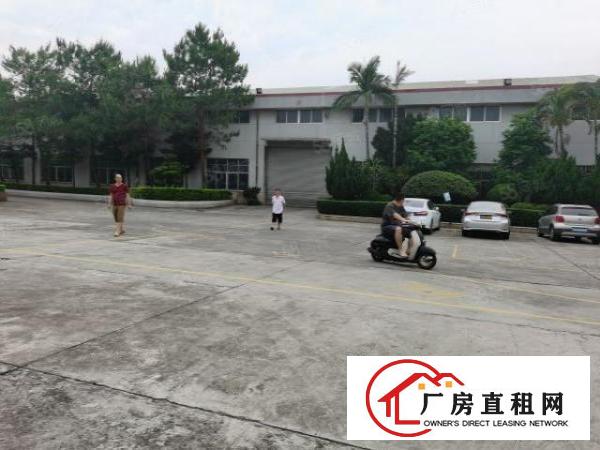  南城白马独院原房东无公摊厂房1650平方空地858平方