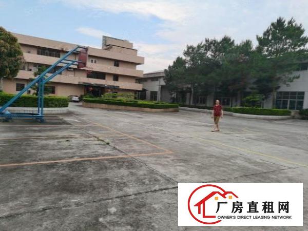  南城白马独院原房东无公摊厂房1650平方空地858平方
