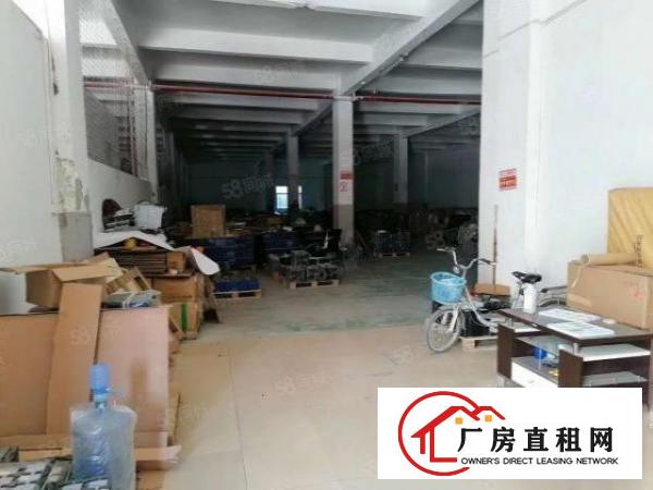  南城新出标准厂房一楼850方