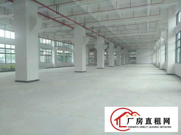  南城蛤地草工业区刚搬空标准厂房一楼1850平招租，大小可分