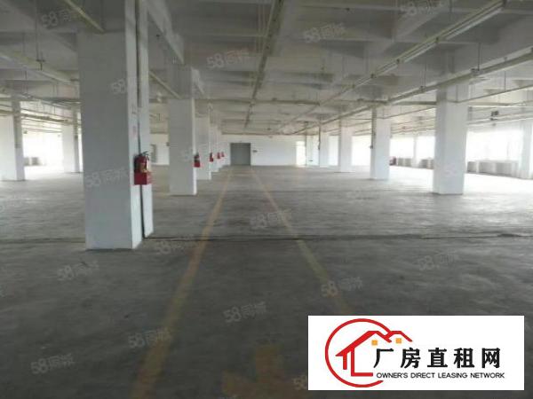  南城蛤地草工业区刚搬空标准厂房一楼1850平招租，大小可分
