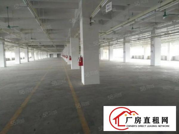  南城蛤地草工业区刚搬空标准厂房一楼1850平招租，大小可分