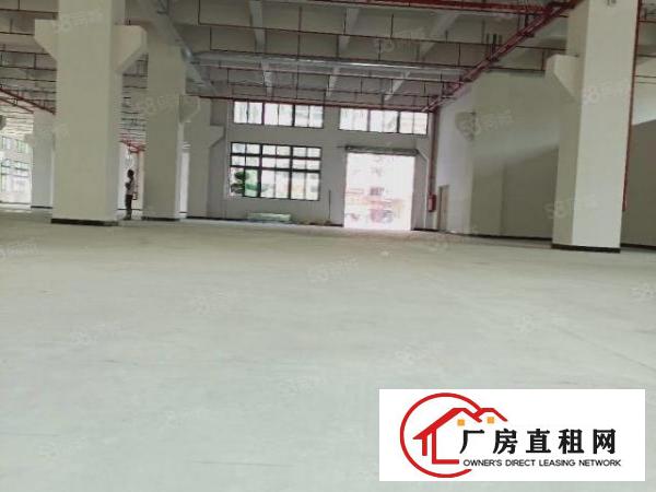  南城蛤地草工业区刚搬空标准厂房一楼1850平招租，大小可分