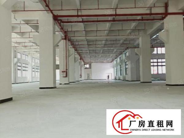  南城蛤地草工业区刚搬空标准厂房一楼1850平招租，大小可分