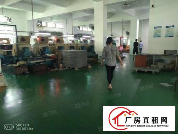  南城白马工业区一楼带豪华装修850平厂房出租，地段好租金低