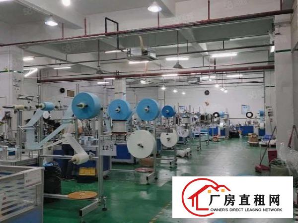  南城一楼厂房出租，精装修，适合加工，办公贸易等