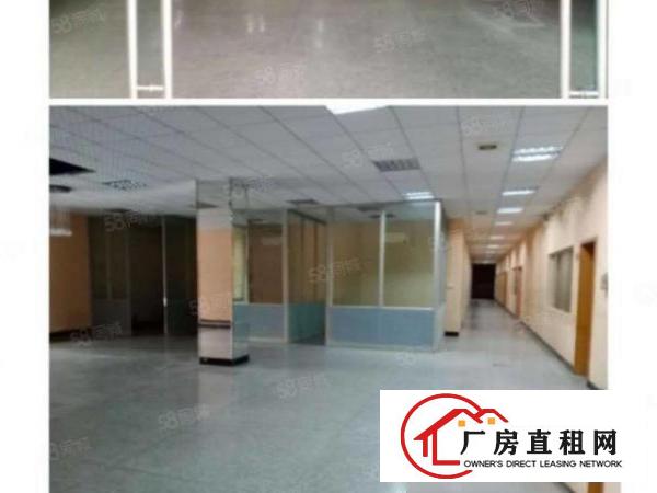  南城一楼厂房出租，精装修，适合加工，办公贸易等