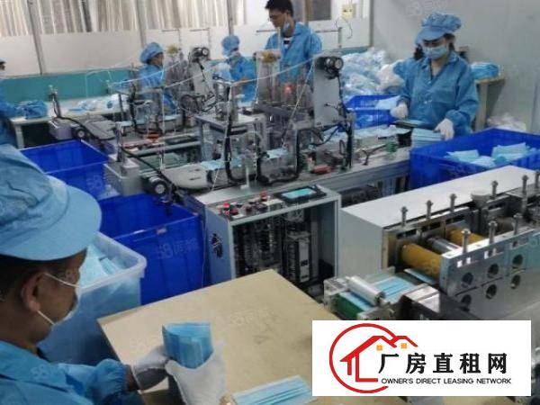  南城西平新空创意花园式厂房，现成无尘车间办公室，拎包入住。