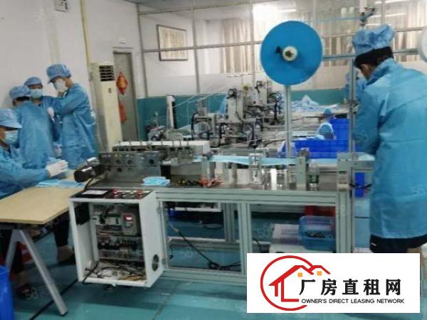  南城西平新空创意花园式厂房，现成无尘车间办公室，拎包入住。