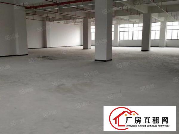  南城周溪新出标准厂房楼上984平精装修厂房，形象靓！租金实惠