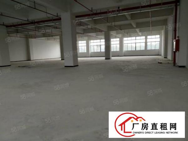  南城周溪新出标准厂房楼上984平精装修厂房，形象靓！租金实惠