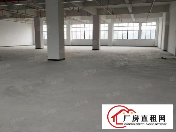  南城周溪新出标准厂房楼上984平精装修厂房，形象靓！租金实惠