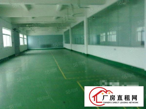 上午新出南城独院厂房招租1000平,现成装修形象好