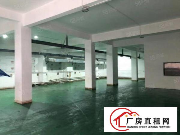  上午新出南城独院厂房招租1000平,现成装修形象好