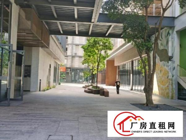  大岭山厂房国企业主高速出口免租期长2年