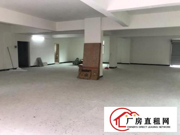  大岭山金桔村全新公寓、厂房出租，单租承包均可