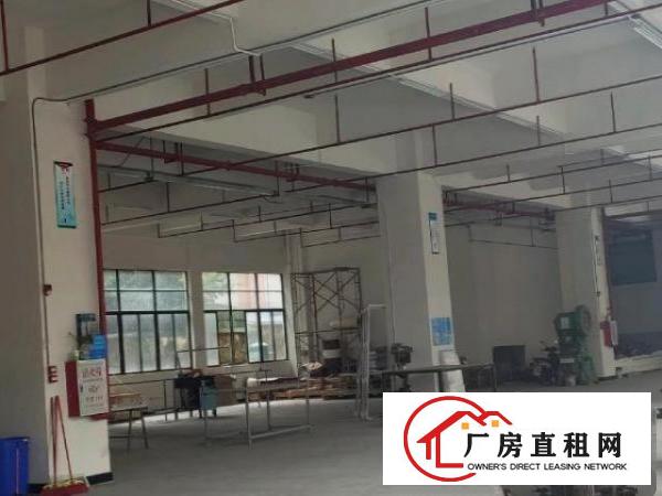  杨屋全新厂房一楼转租
