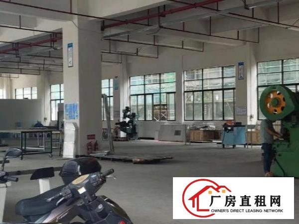  杨屋全新厂房一楼转租