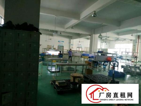  豪华办公室精装厂房直转