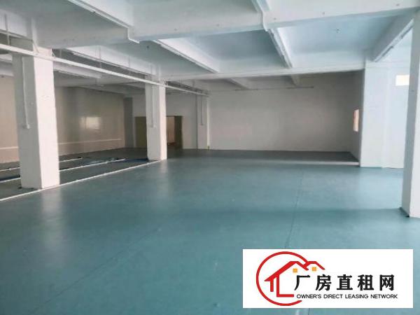  大岭山镇杨屋独院标准房出租面积5700平方可分租