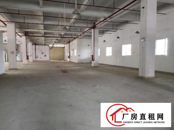  大岭山工业园新出高大尚分租一楼4600平方可分租